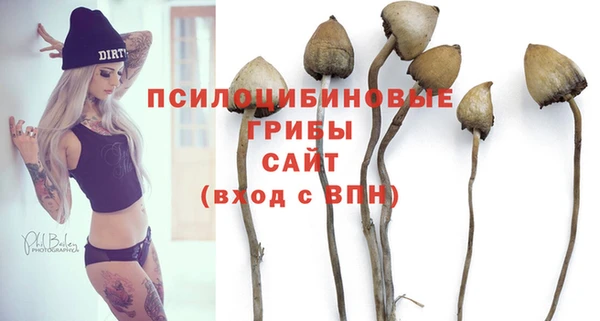 прущие грибы Красноперекопск